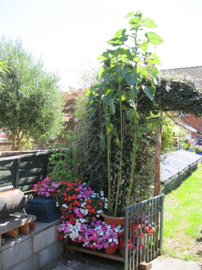 Perfect for Petersfield B&B Exterior foto